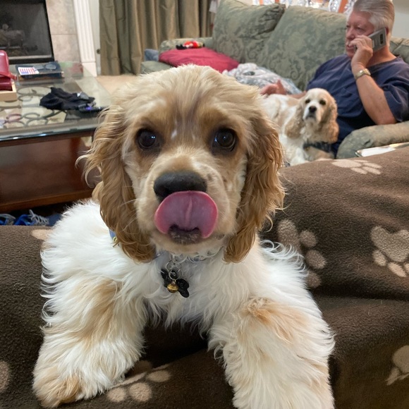 Meet your Posher, Gaylyn - Picture 2 of 11